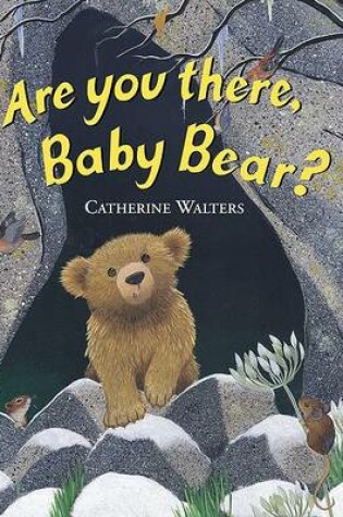 Cover of Are You There, Baby Bear? Board Book