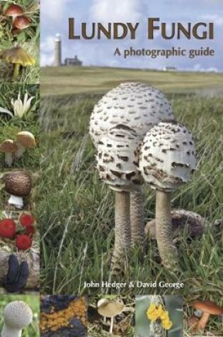 Cover of Lundy Fungi