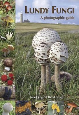 Book cover for Lundy Fungi