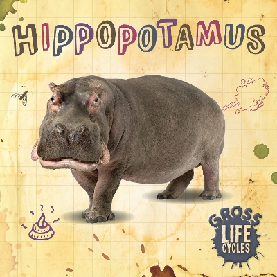 Book cover for Hippopotamus