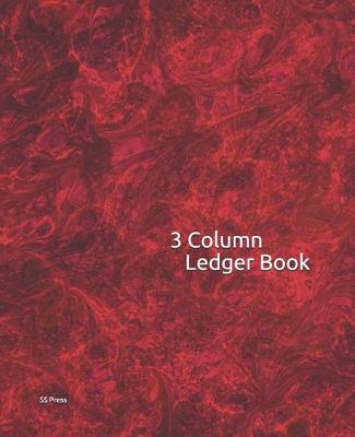 Book cover for 3 Column Ledger Book