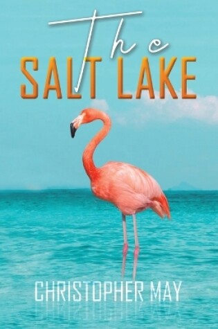 Cover of The Salt Lake