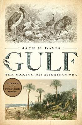 Book cover for The Gulf