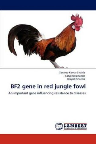 Cover of Bf2 Gene in Red Jungle Fowl