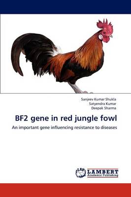 Book cover for Bf2 Gene in Red Jungle Fowl