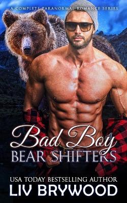 Book cover for Bad Boy Bear Shifters