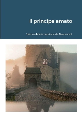 Book cover for Il principe amato