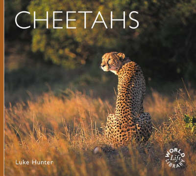 Book cover for Cheetahs