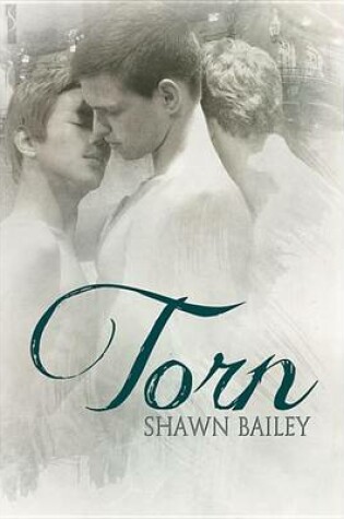 Cover of Torn