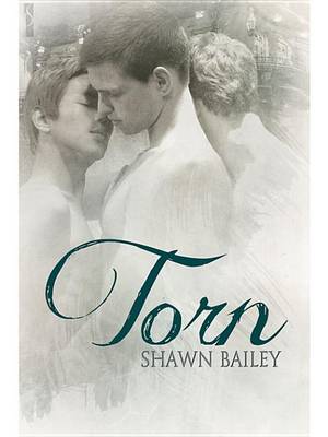 Book cover for Torn