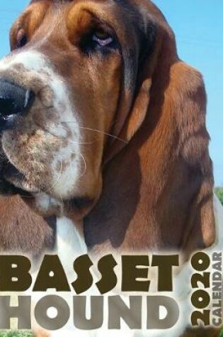 Cover of Basset Hound 2020 Calendar