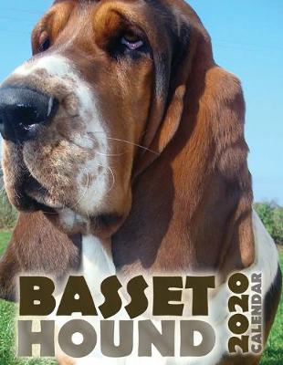 Book cover for Basset Hound 2020 Calendar