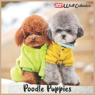 Book cover for Poodle Puppies 2021 Wall Calendar