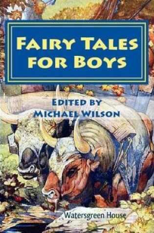 Cover of Fairy Tales for Boys