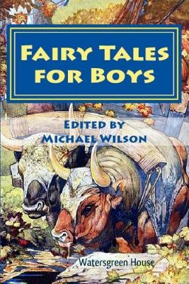 Book cover for Fairy Tales for Boys