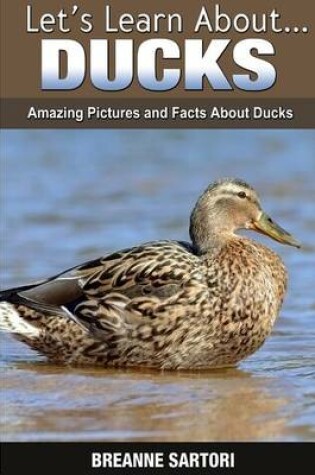 Cover of Ducks