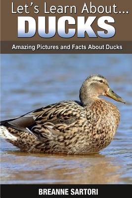 Book cover for Ducks