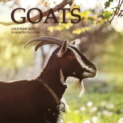 Book cover for Goats Calendar 2020