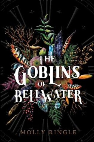 Cover of The Goblins of Bellwater