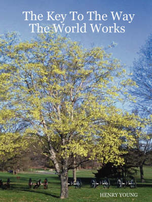 Book cover for The Key to the Way the World Works