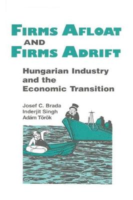 Book cover for Firms Afloat and Firms Adrift