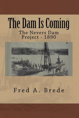 Book cover for The Dam Is Coming