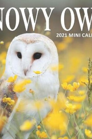 Cover of Snowy Owl