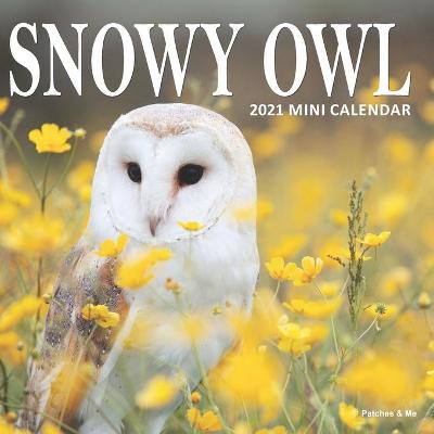 Book cover for Snowy Owl