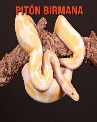 Book cover for Pitón birmana