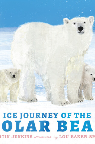 Cover of Ice Journey of the Polar Bear