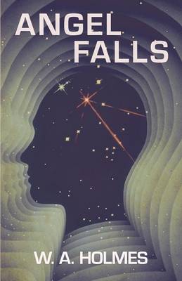 Book cover for Angel Falls