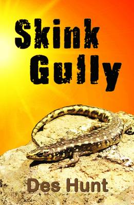 Book cover for Skink Gully