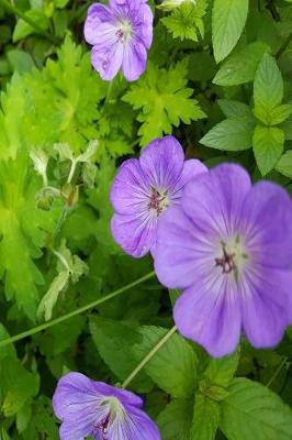 Cover of Journal Summer Greens Flowers