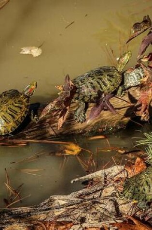 Cover of Red Eared Slider Turtles Lined Up Sunning on a Log