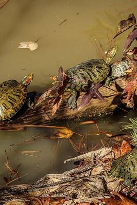 Book cover for Red Eared Slider Turtles Lined Up Sunning on a Log