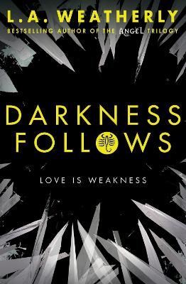 Book cover for Darkness Follows