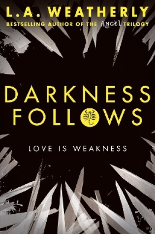 Cover of Darkness Follows