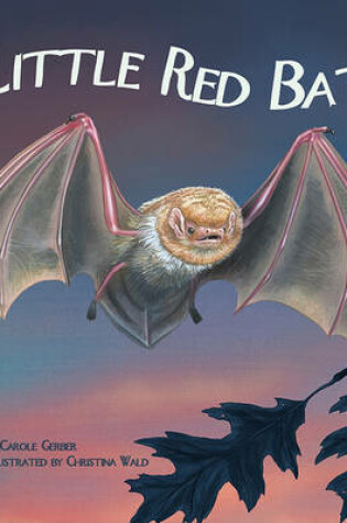 Cover of Little Red Bat