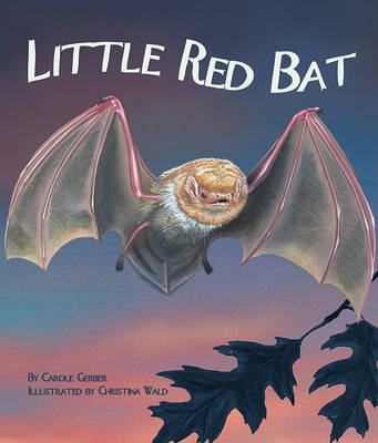 Book cover for Little Red Bat