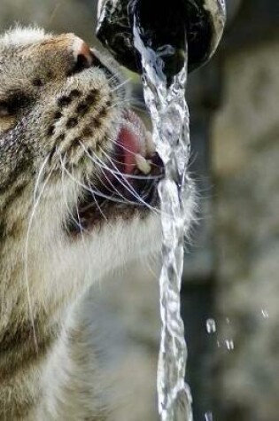 Cover of Notebook Cat Drinking Water from a Tap