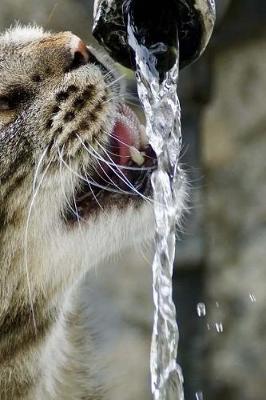 Book cover for Notebook Cat Drinking Water from a Tap