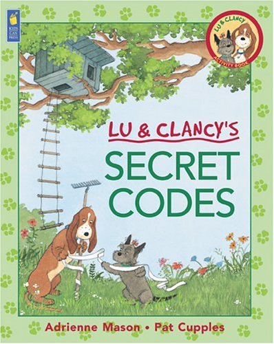 Book cover for Secret Codes