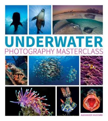 Book cover for Underwater Photography Masterclass