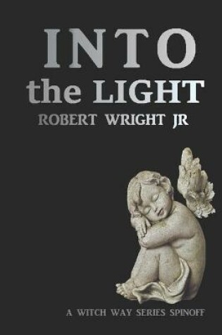 Cover of Into the Light