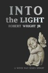 Book cover for Into the Light