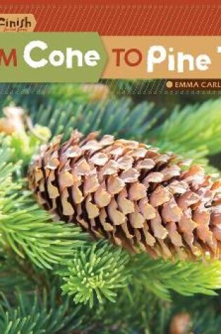 Cover of From Cone to Pine Tree