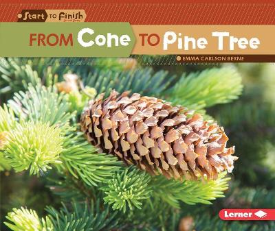 Book cover for From Cone to Pine Tree
