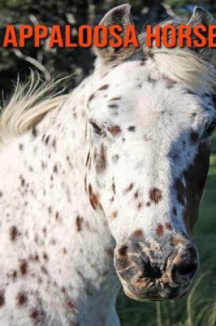 Cover of Appaloosa Horse