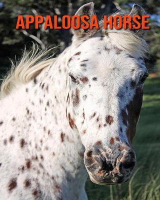 Book cover for Appaloosa Horse