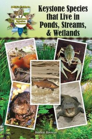 Cover of Keystone Species That Live in Ponds, Streams, & Wetlands